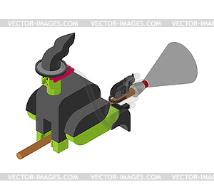 Witch on broom Isometrics. Halloween  - vector image