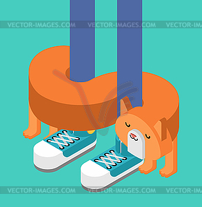 Cat rubs against legs Isometric. Pet - vector clipart