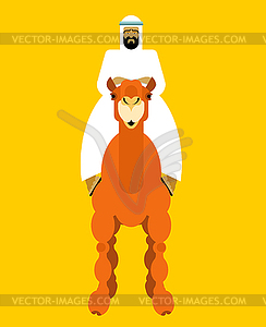 Arabian man on camel. OAE guy - vector clipart