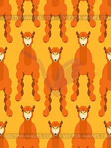 Camel pattern seamless. Animal UAE. Beast of - vector clipart