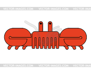 Краб . Рак океана. Морское животное - цветной векторный клипарт