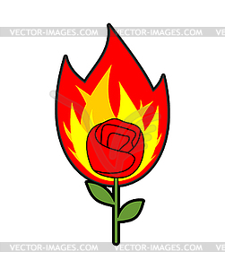 Rose in fire tattoo  - vector image