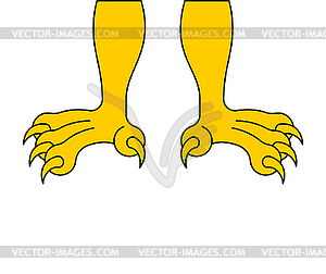 Paws of eagle . feet hawk - vector clipart