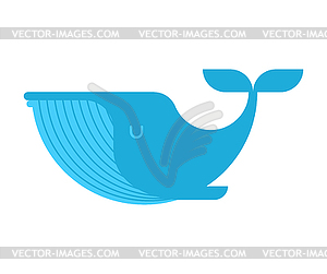 Blue Whale . large mammal under water. illustrati - vector image