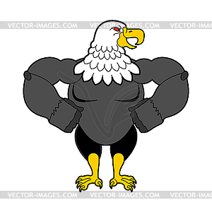 Bald eagle strong. Predator bird - vector image
