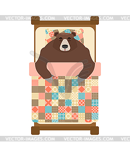 Bear sleeps in bed. sleeping grizzly - vector clipart