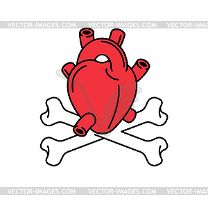 Heart Anatomy organ and crossbones  - vector image