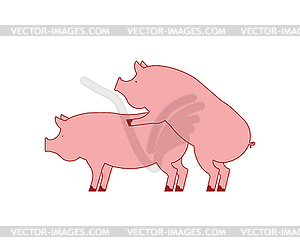 Pig sex Piggy intercourse Pigs Farm Animal vector clipart 