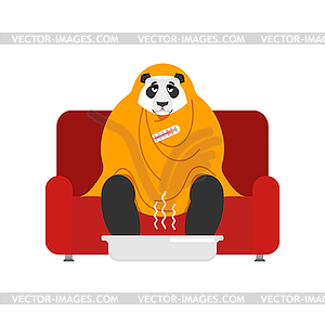 Panda sick sitting in armchair wrapped in blanket. - vector clip art