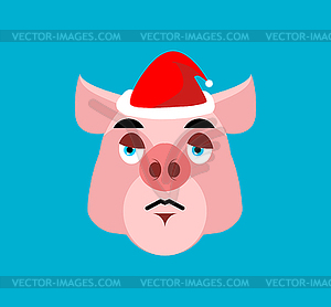 Sad Santa Pig Emoji. sorrowful Piggy. Farm animal. - vector image