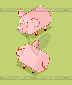 Pig isometric style. Piggy isometry Farm animal. - royalty-free vector image