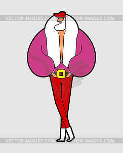 Santa Claus fashion. Fashionable New Year - vector clip art