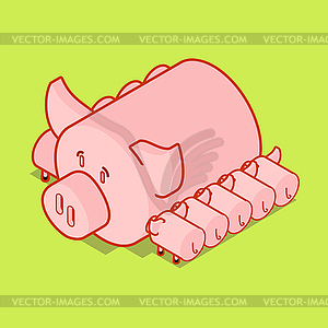 Sows and piglets. mother pig. Piggy isometry Farm - vector clipart