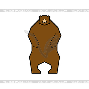 Bear standing . Grizzly forest predator beast - vector image