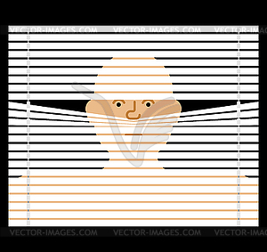 Pry through jalousie. watching through blinds. - vector image