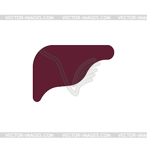 Liver Internal organs Human anatomy - vector clipart