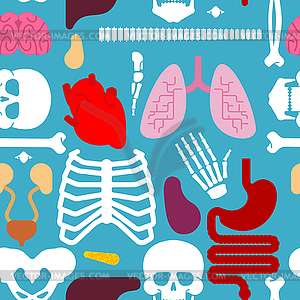 Human anatomy pattern seamless. Skeleton and - vector clipart
