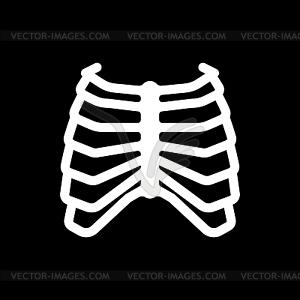 Rib cage. Skeleton anatomy human. Skeletal system - vector EPS clipart