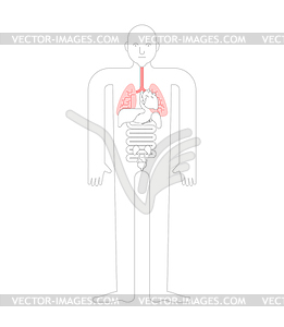Lungs Human anatomy. Gastrointestinal tract Interna - vector clipart