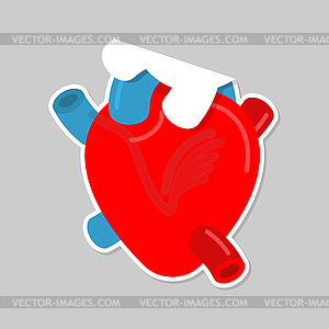 Anatomy heart paper sticker. Symbol love for - vector clipart