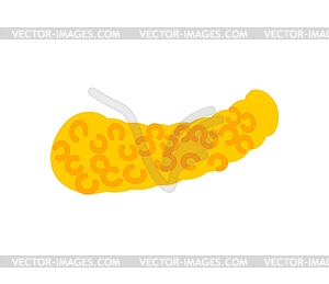 Pancreas . Internal organs Human anatomy. illustr - vector clipart