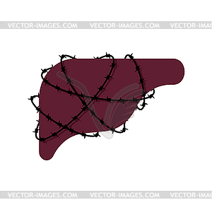 Liver and barbed wire. Sick Internal organs Human - vector image