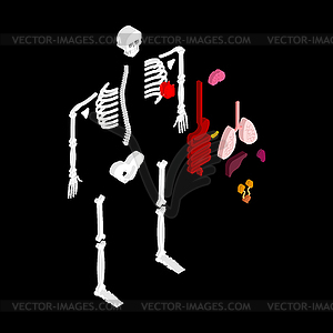 Анатомия человека изометрична. Скелет и внутренний - векторный графический клипарт