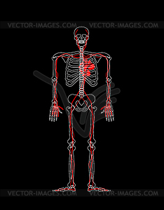 Skeleton heart flower. lover anatomy. Love - vector image