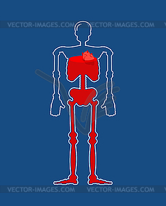 Transparent glass Skeleton and Blood. Body bottle - vector clipart