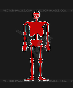 Transparent glass Skeleton and Blood. Body bottle - vector image