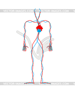 Lover anatomy heart flower. Love Circulatory system - vector clipart