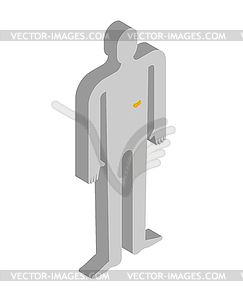 Pancreas isometric anatomy of human body. Internal - vector clipart