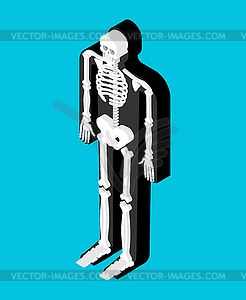 Скелетная изометрическая анатомия человеческого тела. внутренний - изображение векторного клипарта