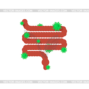 Sick intestines. Diseased internal organ. Aching - vector clipart