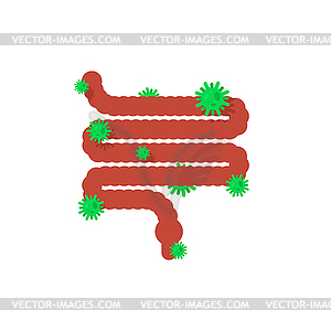 Больные кишки. Заболевший внутренний орган. болящий - изображение векторного клипарта