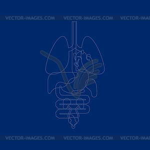 Internal organs X-ray human anatomy body. Heart - vector clip art