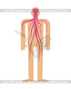 Parasite in human brain. Brains with tentacles in - vector image