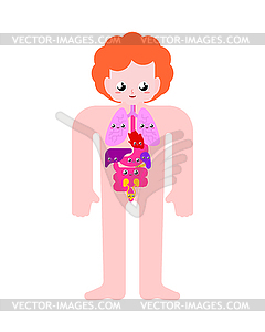 Cute Human anatomy organs Internal. cartoon style - vector clipart