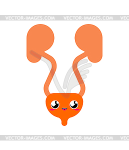 Kidney Cute. funny internal organ cartoon style. - vector clipart