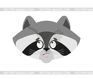 Raccoon confused oops. Racoon perplex - vector clip art