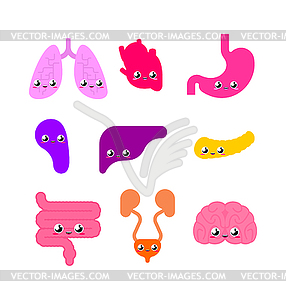 Internal organ Cute set. Anatomy of human body - vector image