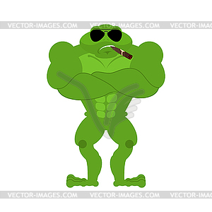 Frog Strong Cool serious. Toad smoking cigar - vector image