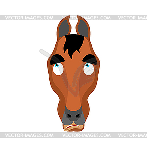 Horse confused oops. Steed perplexed emotions. - vector clip art