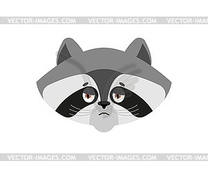 Raccoon sad emoji. Racoon sorrowful emotions. Coon - vector clipart