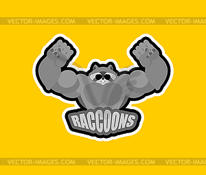 Raccoons sport logo. Raccoon Sports team club - vector image