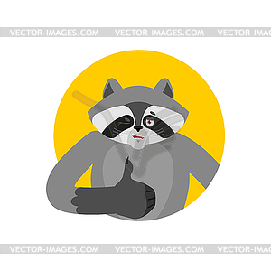 Raccoon thumbs up and winks. Racoon happy emoji. - vector clipart