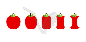 Stage of eating an apple. Whole fruit and stub - vector clip art