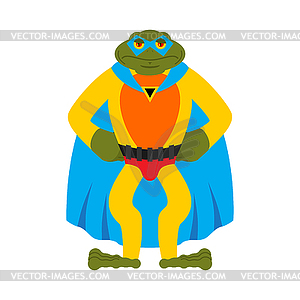 Frog superhero. Super toad in mask and raincoat. - vector image