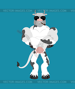 Cow Strong Cool serious. Farm animal strict - vector clipart