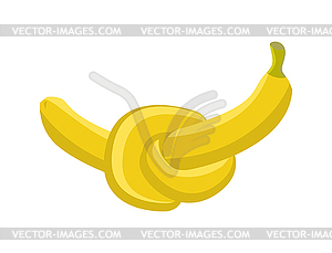 Банановый узел. Утопический фрукт - векторное графическое изображение